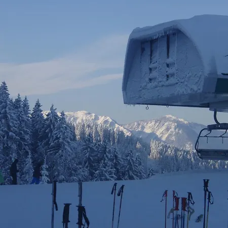 Gornik Poljane nad Skofjo Loko