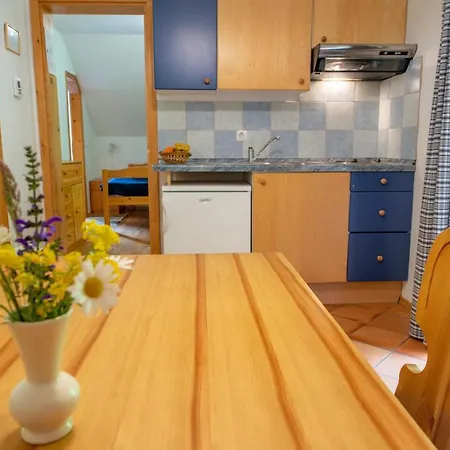 Gornik Appartement *